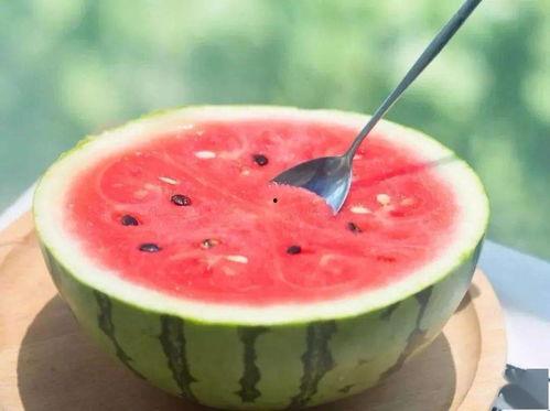 免费吃瓜官网免费