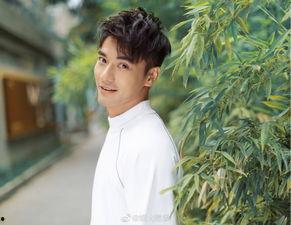 娱乐圈吃瓜酱什么是爱情